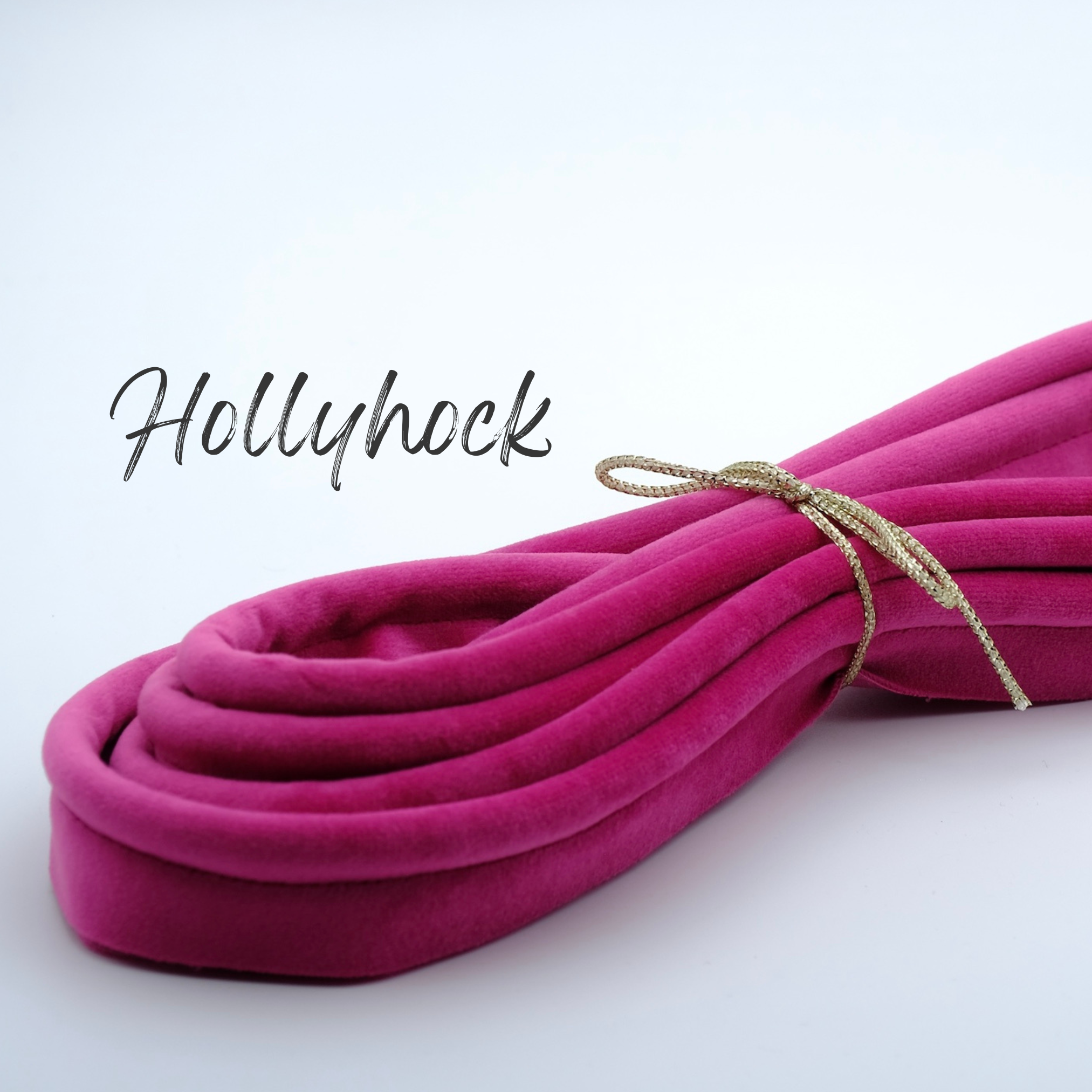 Sample Swatch - Velvet Piping