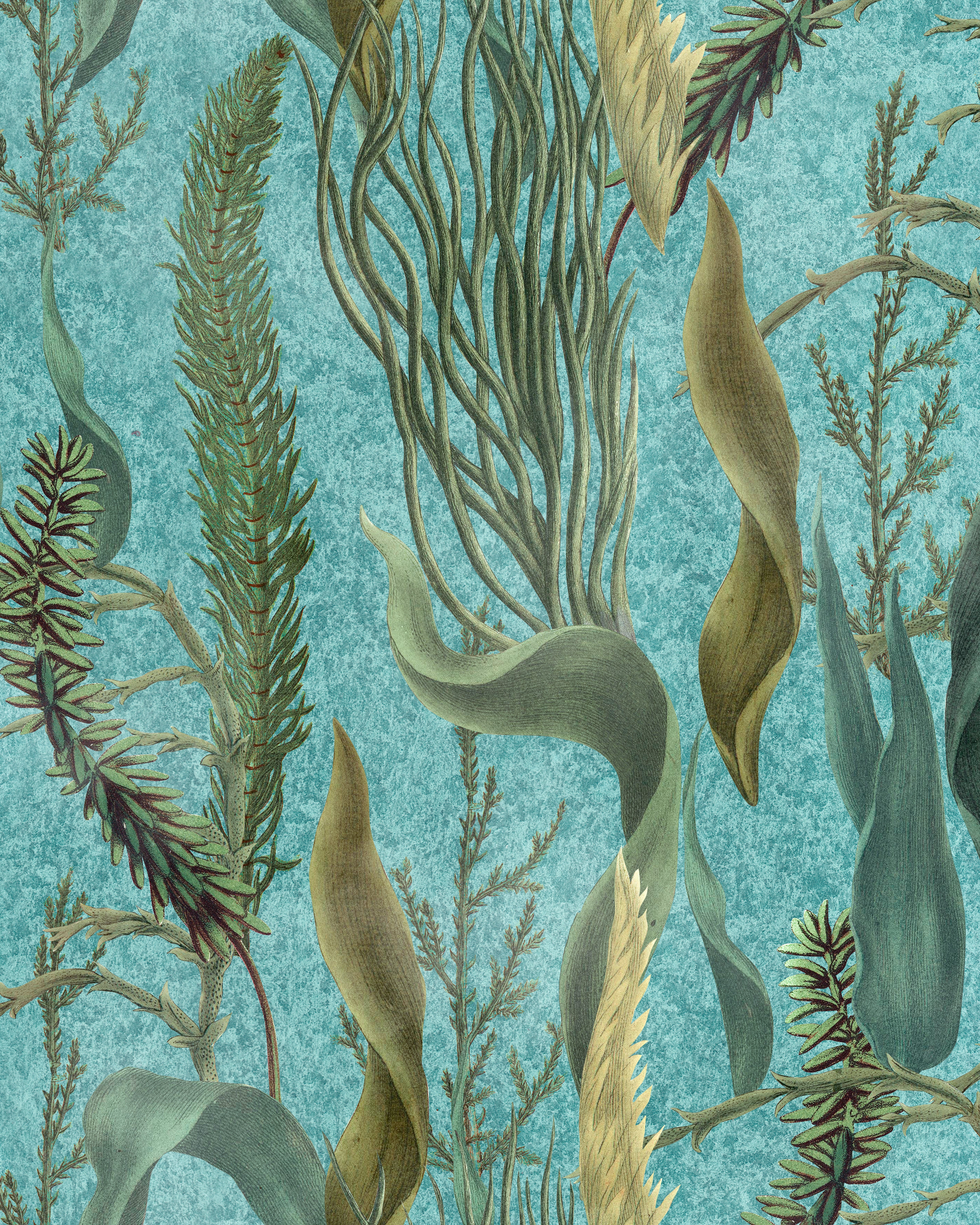 AQUATIC PLANTS aquamarine wallpaper featuring intricate seaweed and botanical illustrations in green and beige on a textured blue background."