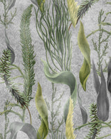 Botanical wallpaper featuring detailed green aquatic plants and flowing seaweed on a textured grey background, evoking an underwater scene