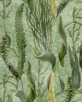 Botanical wallpaper featuring lush green aquatic plants, flowing seaweed, and delicate underwater foliage on a textured green backdrop