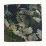 Photo of a cushion front with large scale extremely close up hydrangeas