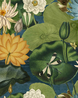 botanical illustration, birds eye view of water lilies, lotus flowers, dragonfly on pond