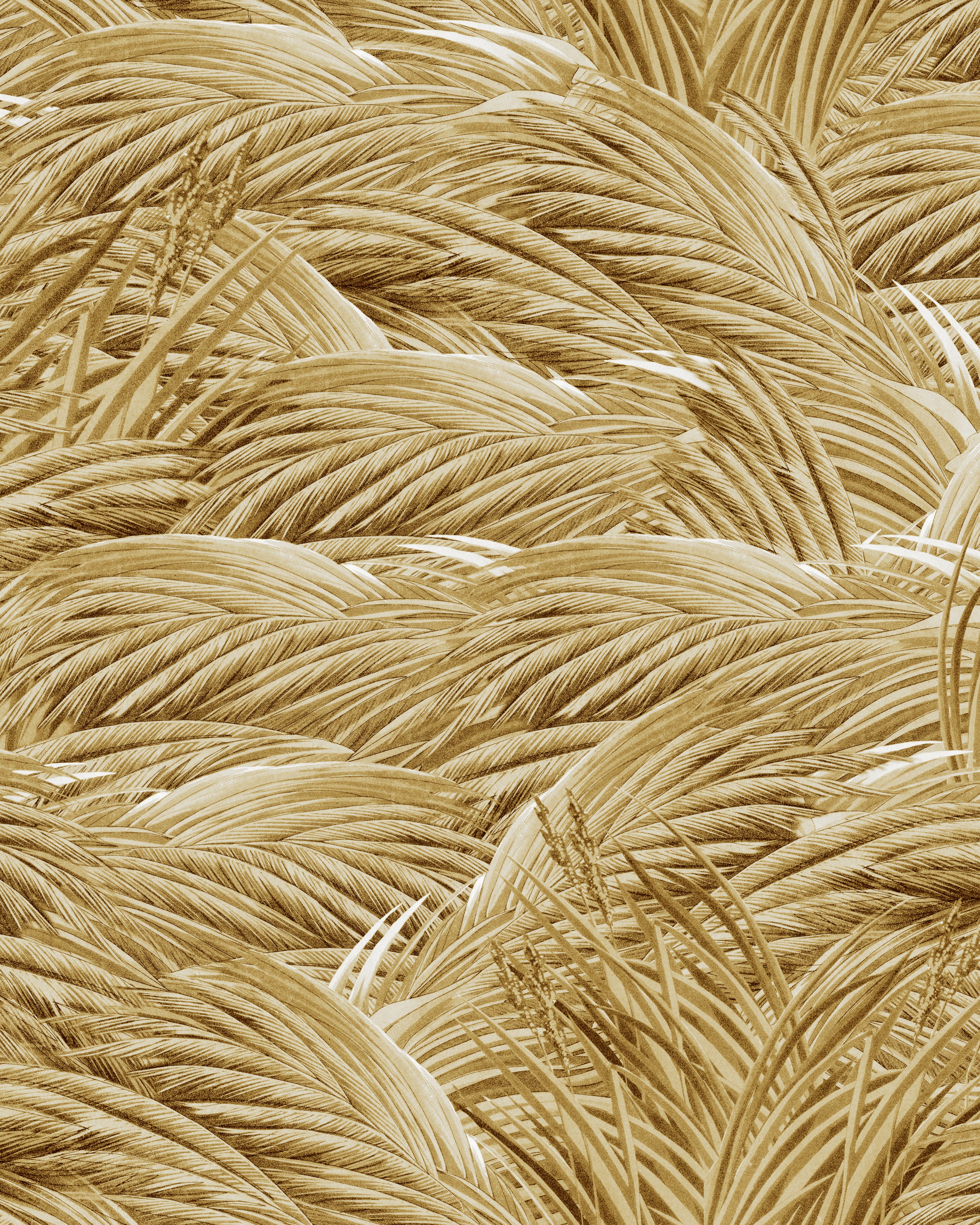Triflora Autumn wallpaper: Overlapping golden beige wheat and grasses fill the frame, creating a dense, textured pattern with no background