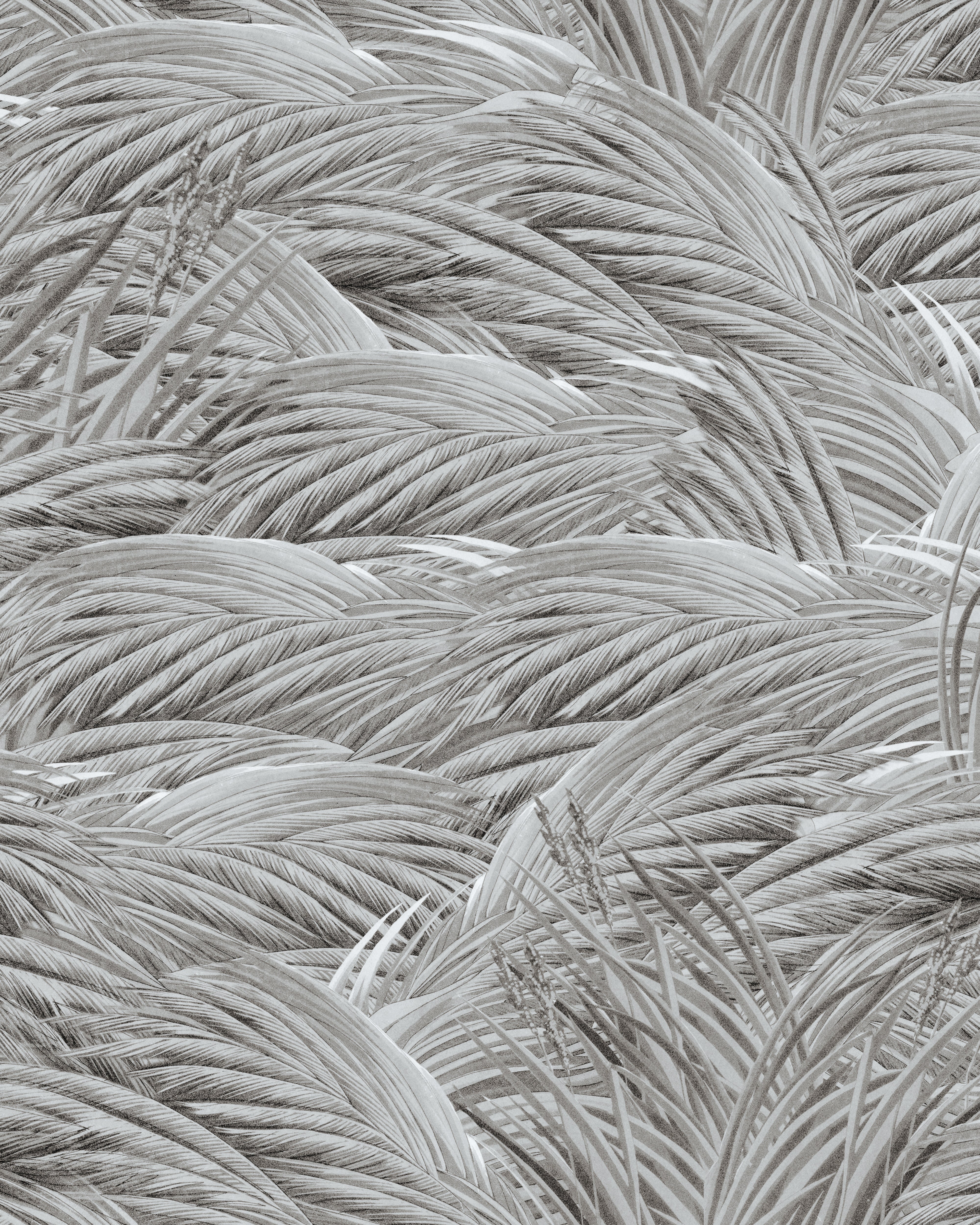 overlapping wheat or grasses fill the frame. greyscale colour. no other negative space or background.
