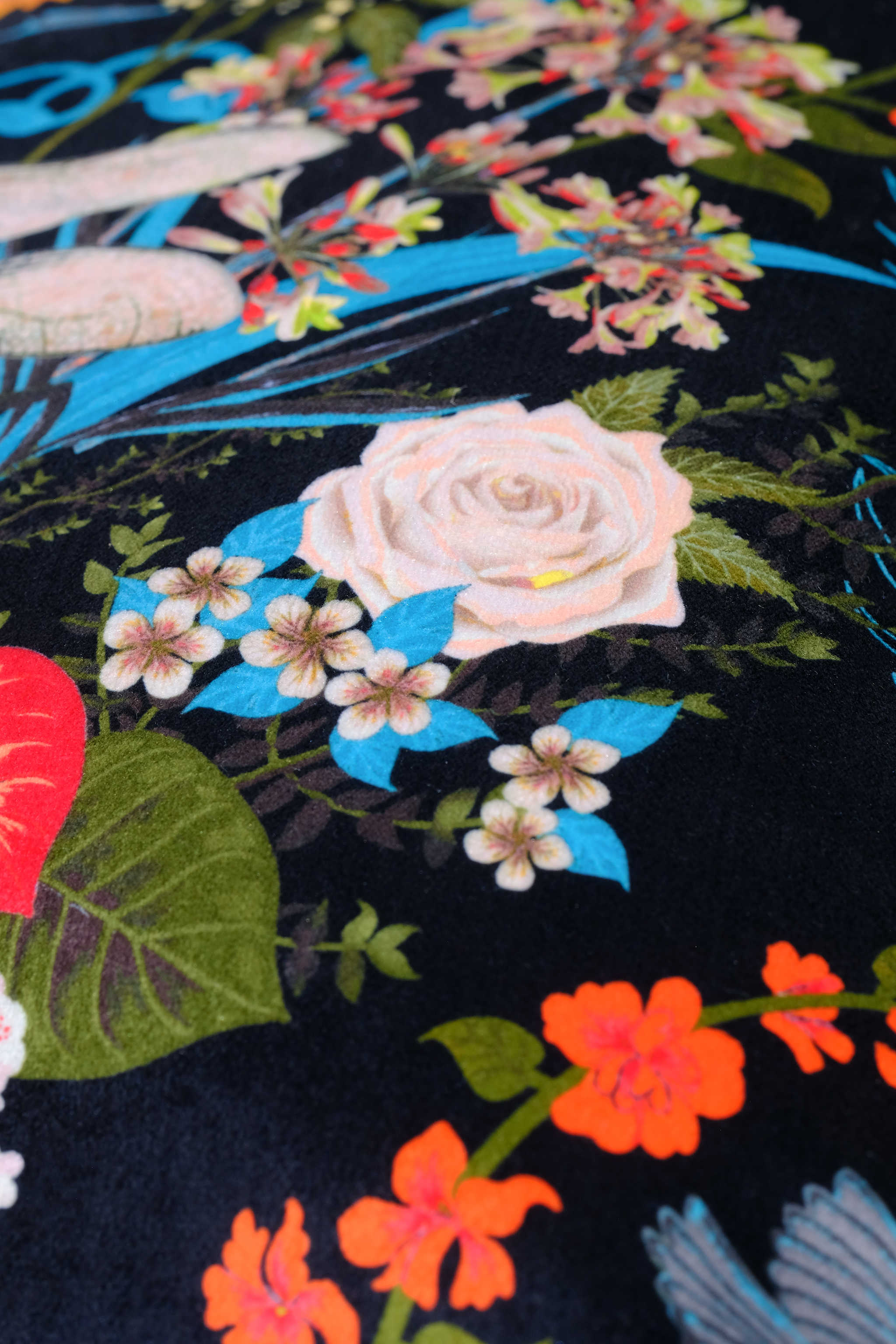Close-up of a fabric with colorful floral patterns on a black background