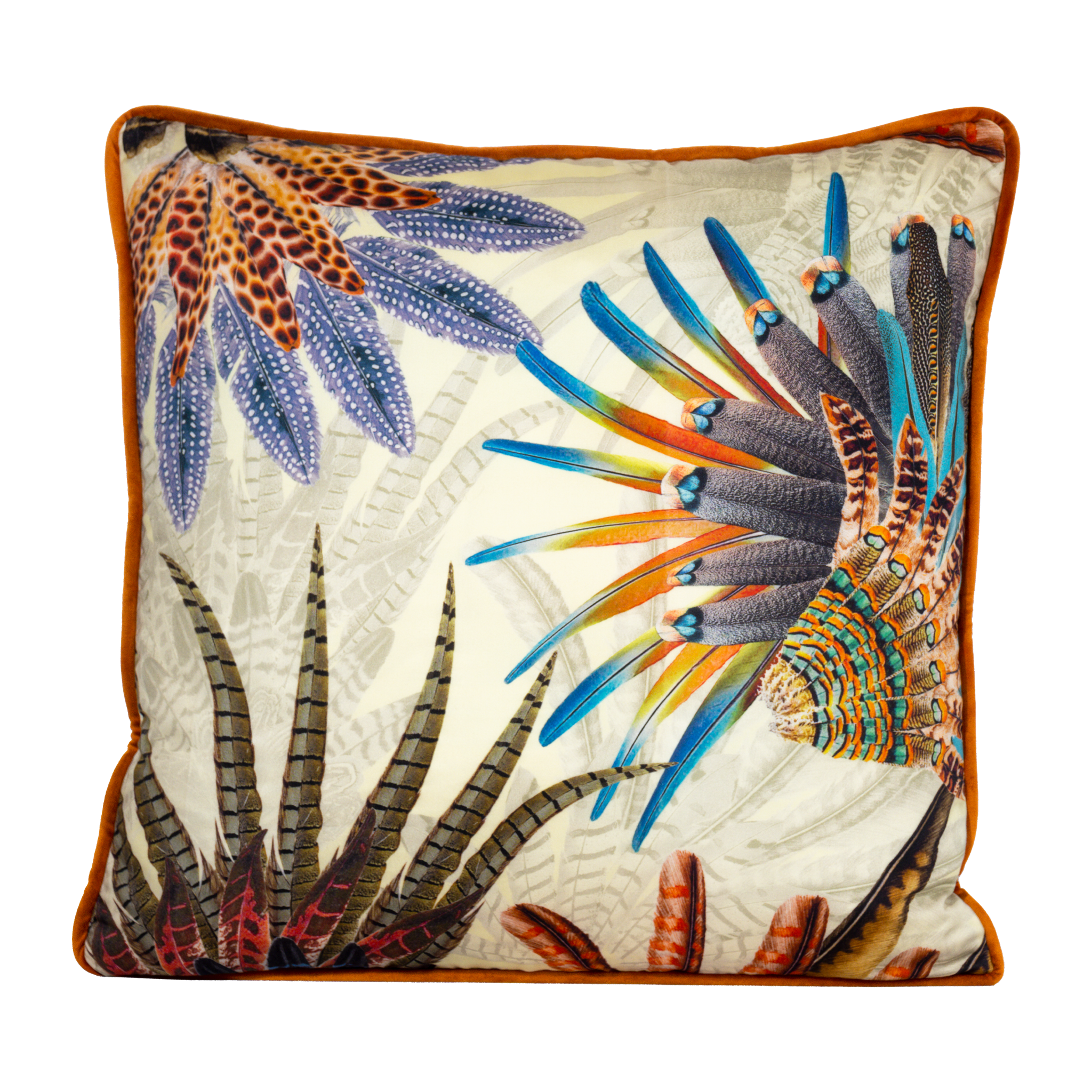 Decorative pillow with colorful feather design on a white background